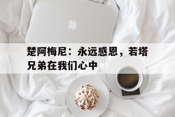 关于楚阿梅尼：永远感恩，若塔兄弟在我们心中的信息