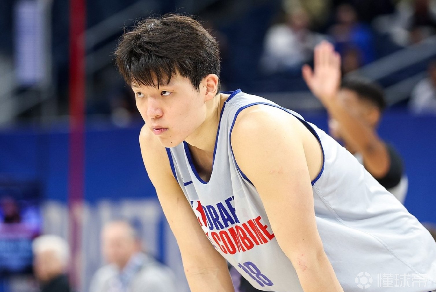 杨瀚森本赛季个人集锦上篇：场均2.8封盖领跑CBA