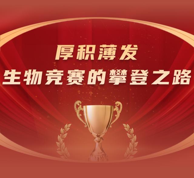 助力球队获得胜利的关键在于团队合作，实战成绩斐然