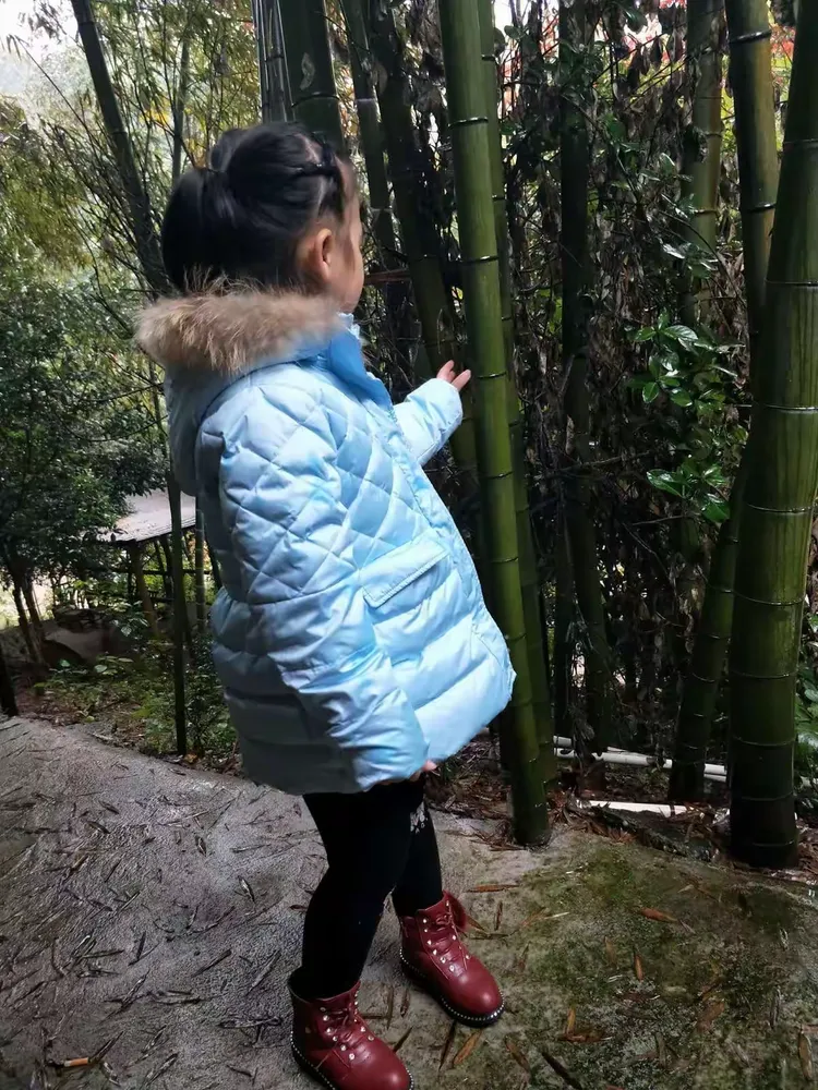 包含微笑背后：体操比赛中选手的坚守与努力的词条